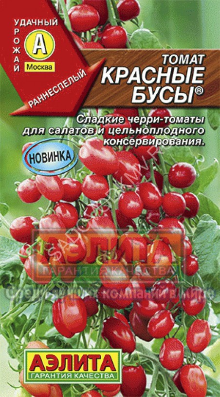 Томат бусы. Аэлита томат красные бусы. Томат черри Аэлита. Томат красные бусы 0,1г Аэлита. Помидоры черри семена Аэлита.