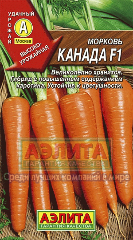 Морковь кореянка семена семена на пасечной
